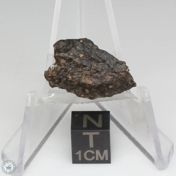 NWA 1465 Meteorite 2.6g End Cut