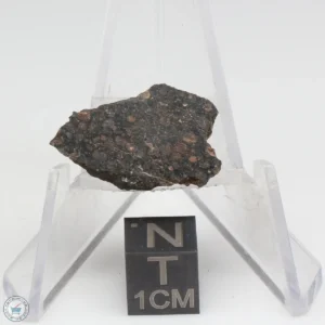 NWA 1465 Meteorite 2.6g End Cut