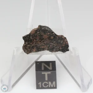 NWA 1465 Meteorite 2.8g End Cut