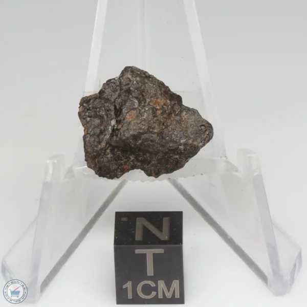 NWA 1465 Meteorite 3.3g End Cut