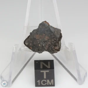 NWA 1465 Meteorite 3.3g End Cut