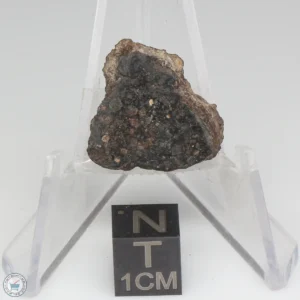 NWA 1465 Meteorite 2.8g End Cut