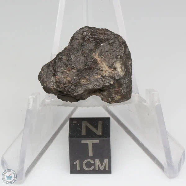 NWA 1465 Meteorite 3.7g End Cut