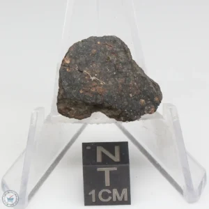 NWA 1465 Meteorite 3.7g End Cut