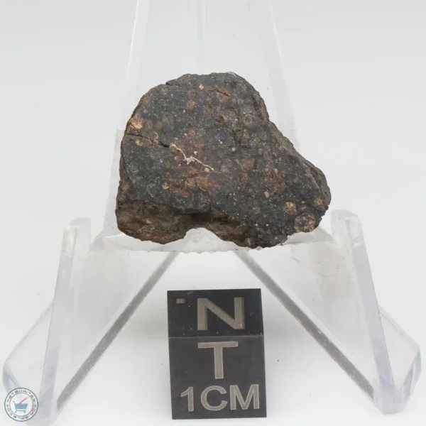 NWA 1465 Meteorite 3.7g End Cut