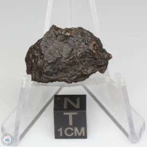 NWA 1465 Meteorite 4.0g End Cut