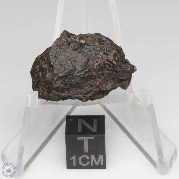 NWA 1465 Meteorite 4.0g End Cut