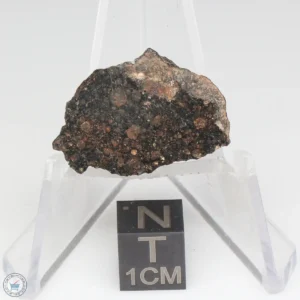 NWA 1465 Meteorite 4.0g End Cut