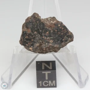 NWA 1465 Meteorite 6.3g End Cut