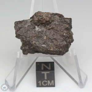 NWA 1465 Meteorite 7.6g End Cut