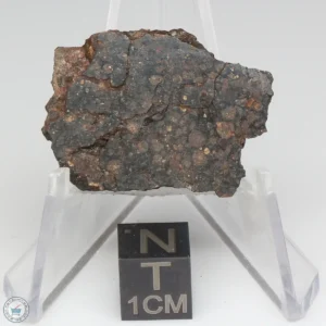 NWA 1465 Meteorite 7.6g End Cut