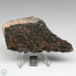 NWA 1465 Meteorite 126.1g End Cut