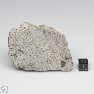 NWA 2060 Howardite Meteorite 141.9g End Cut
