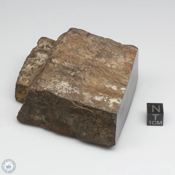 NWA 6947 Meteorite 319g End Cut (Copy)