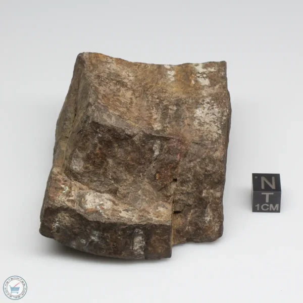 NWA 6947 Meteorite 319g End Cut (Copy)