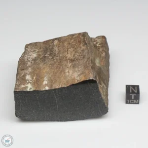 NWA 6947 Meteorite 319g End Cut (Copy)
