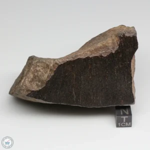 NWA 6947 Meteorite 441g End Cut