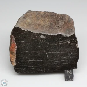 NWA 6947 Meteorite 525g End Cut