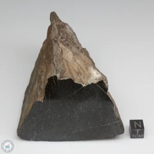 NWA 6947 Meteorite 750g End Cut
