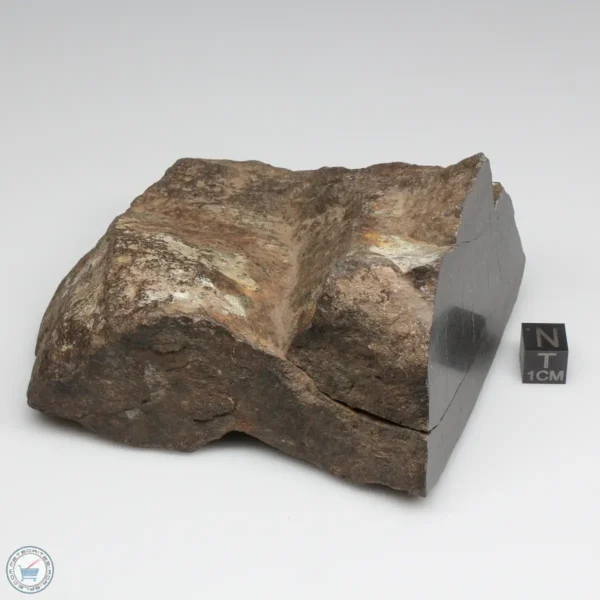 NWA 6947 Meteorite 843g End Cut