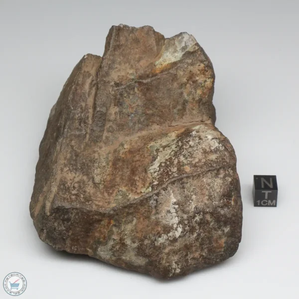 NWA 6947 Meteorite 843g End Cut