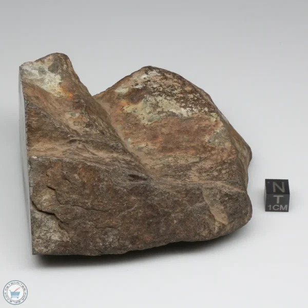 NWA 6947 Meteorite 843g End Cut