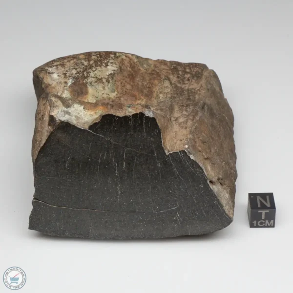 NWA 6947 Meteorite 843g End Cut