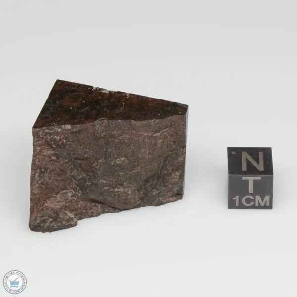 NWA 775 Meteorite 30.0g Part End Cut