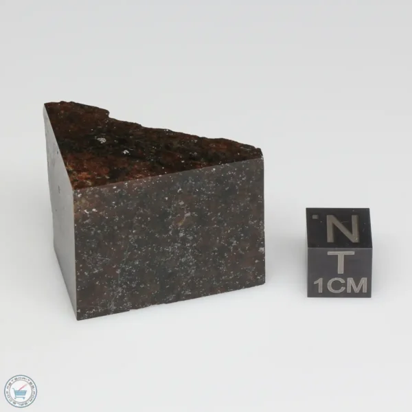 NWA 775 Meteorite 30.0g Part End Cut