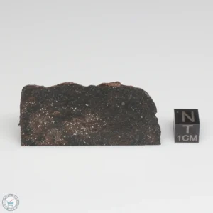 NWA 775 Meteorite 51.7g Part End Cut