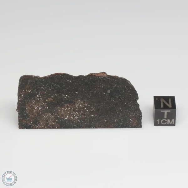 NWA 775 Meteorite 51.7g Part End Cut