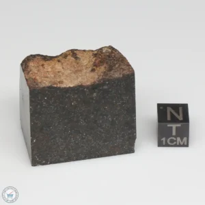 NWA 775 Meteorite 65.9g Part End Cut