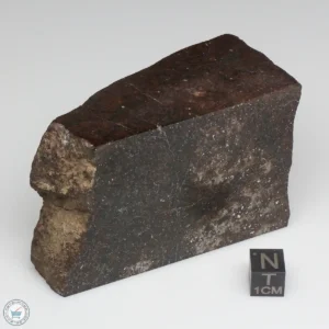 NWA 775 Meteorite 401g Part End Cut