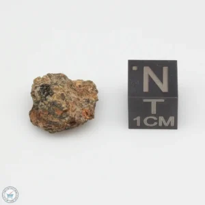 NWA 7831 Meteorite 2.3g