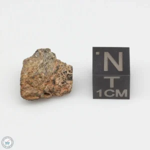 NWA 7831 Meteorite 2.5g