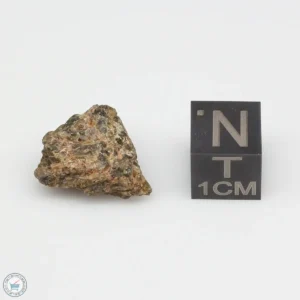NWA 7831 Meteorite 2.1g