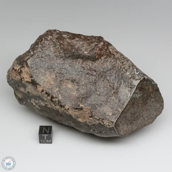 NWA 787 Meteorite 1087g Windowed