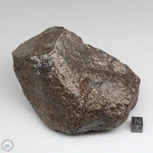 NWA 787 Meteorite 1087g Windowed