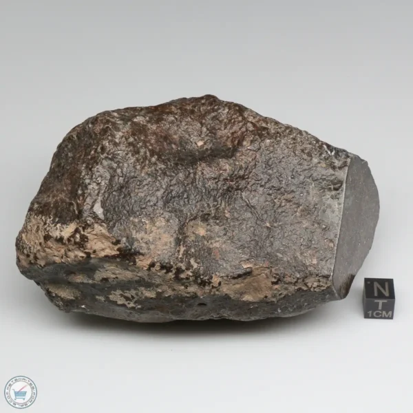 NWA 787 Meteorite 1087g Windowed