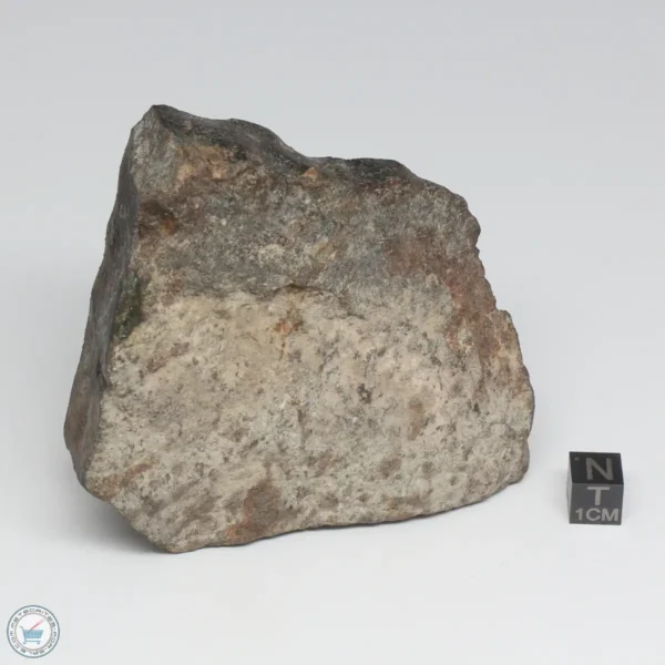 NWA 788 L5/6 Meteorite 341g End Cut