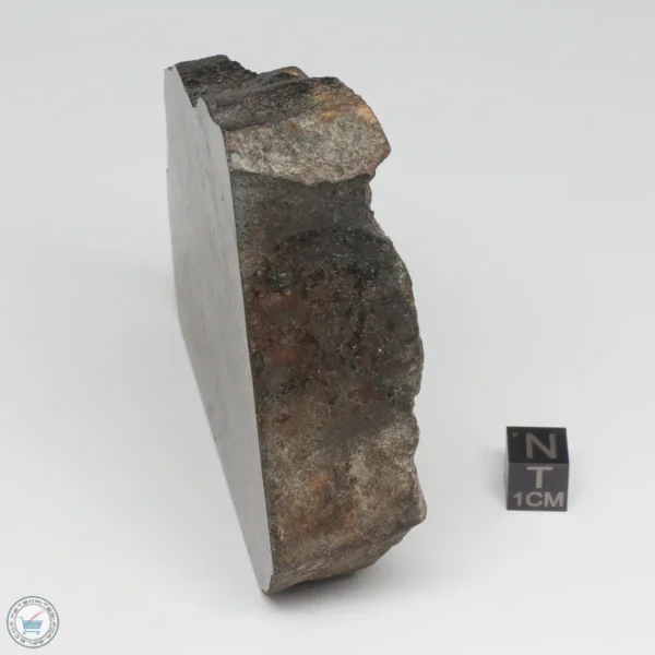 NWA 788 L5/6 Meteorite 341g End Cut