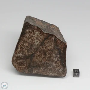 NWA 788 L5/6 Meteorite 1388g End Cut