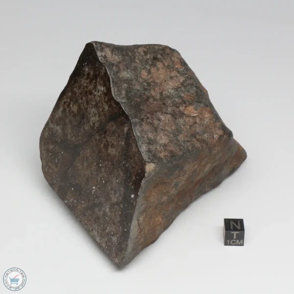 NWA 788 L5/6 Meteorite 1388g End Cut