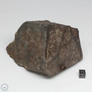 NWA 788 L5/6 Meteorite 1388g End Cut