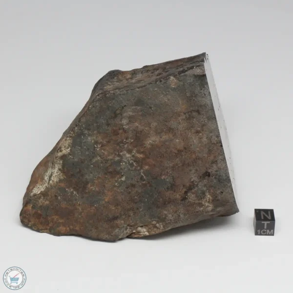 NWA 788 L5/6 Meteorite 1388g End Cut