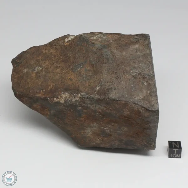 NWA 788 L5/6 Meteorite 1388g End Cut