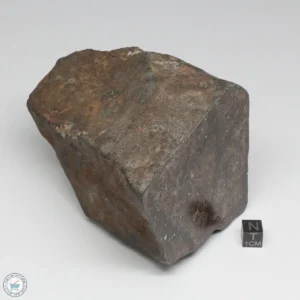 NWA 788 L5/6 Meteorite 1388g End Cut