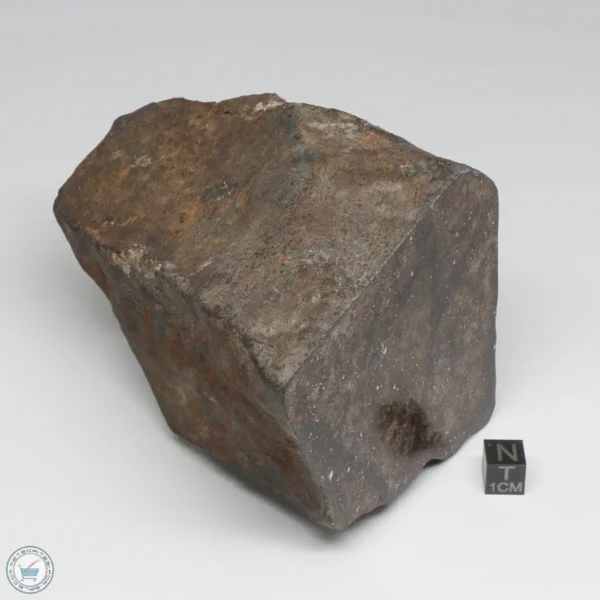 NWA 788 L5/6 Meteorite 1388g End Cut