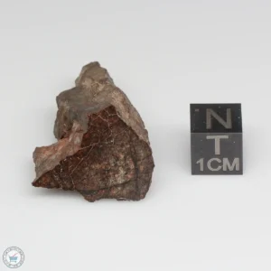 Sahara 99676 Meteorite 15.5g End Cut