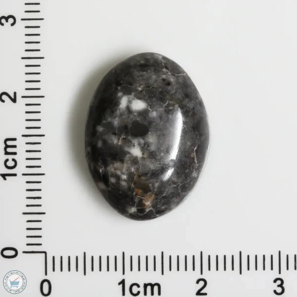 Bechar 010 Lunar Meteorite Cabochon 19.1ct